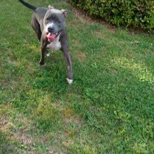 Meet your Posher, Evan